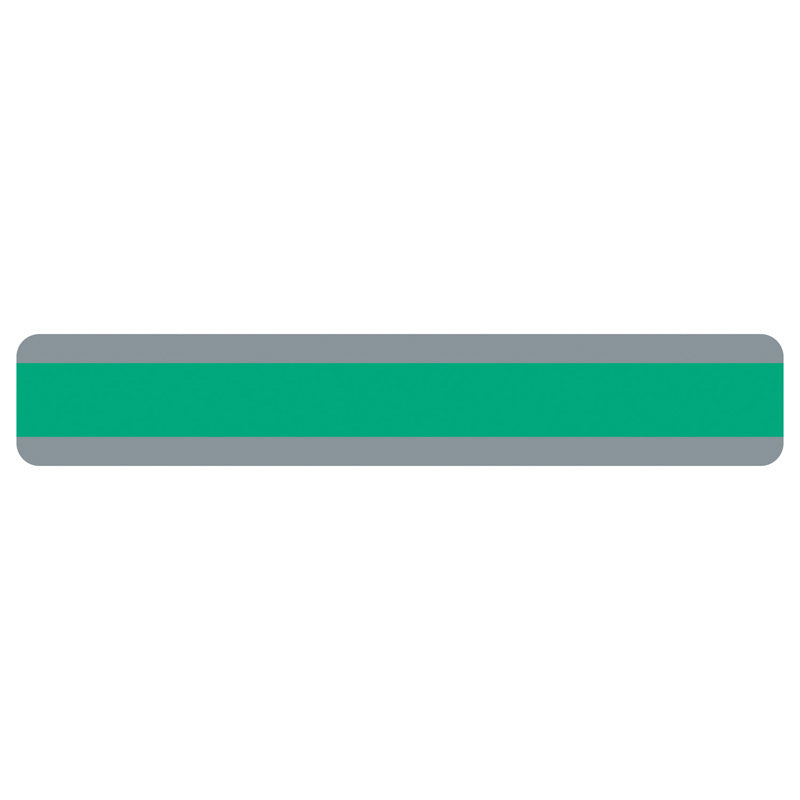 Double Wide Sentence Strip Reading Guide, 1-1/4" x 7-1/4", Green