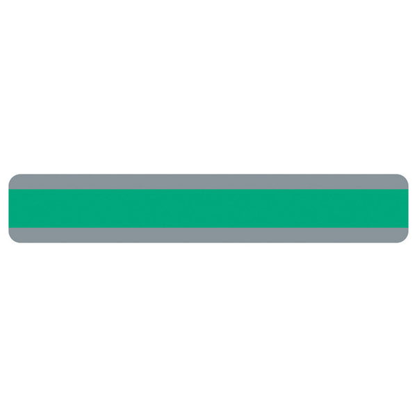 Double Wide Sentence Strip Reading Guide, 1-1/4" x 7-1/4", Green