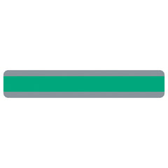 Double Wide Sentence Strip Reading Guide, 1-1/4" x 7-1/4", Green