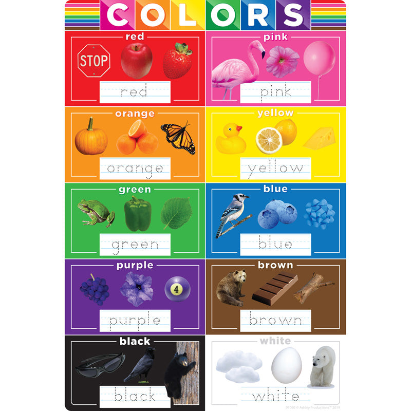 Smart Poly® Chart Colors, 13" x 19"