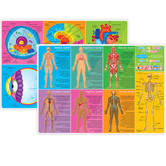 Smart Poly™ Learning Mat, 12" x 17", Double-Sided, Human Body Systems & Anatomy