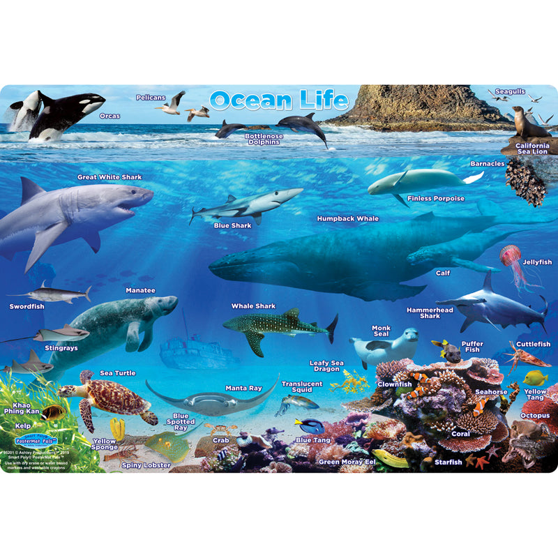 Smart Poly® Single Sided PosterMat Pals®, Ocean Life, 12" x 17.25"