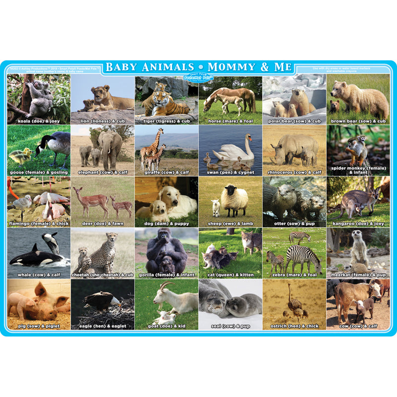 Smart Poly® Single Sided PosterMat Pals®, Mommy and Me Animals, 12" x 17.25"