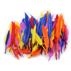 Duck Quills Feathers, 14 Grams