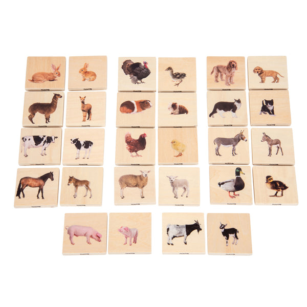 Domestic Animal Family Match - Set of 28