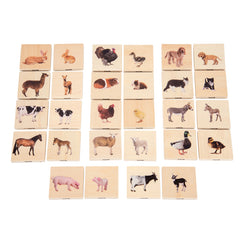 Domestic Animal Family Match - Set of 28