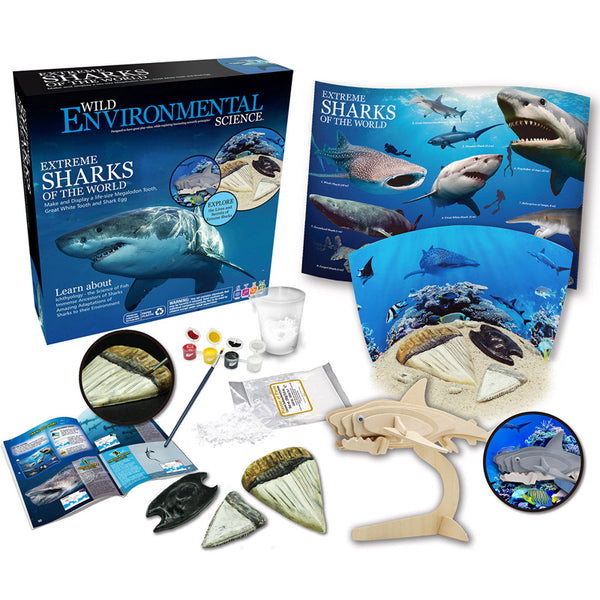 Extreme Science Kit, Sharks of the World