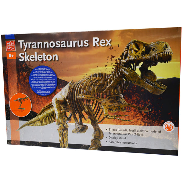 T-Rex Skeleton