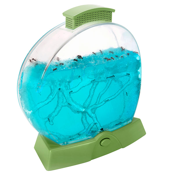 Geosafari® Day 'N' Night Ant Farm