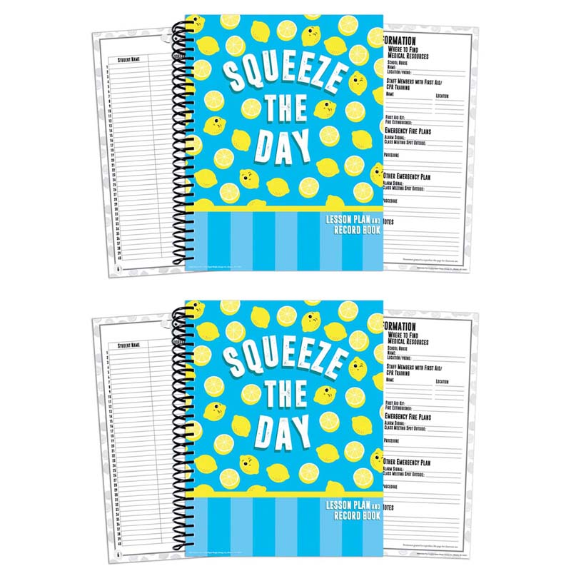 Always Try Your Zest Lesson Plan Book, Pack of 2